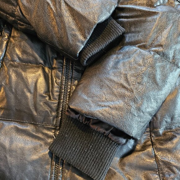 Danier Winter Coat (Fair Condition) - Picture 3 of 11